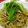 yunatanママ's cooksnap of when they made シラスと水菜の和風パスタ.