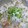 メタボーママ's cooksnap of when they made 豚肉のしょうが焼きご飯.