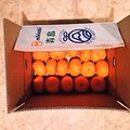 Dream♪'s cooksnap of when they made みかんの箱買い、腐りにくい保存方法！.