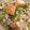 クックXDYYKY☆'s cooksnap of when they made 厚揚げと白菜のトロトロ煮.