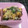 堕天使M's cooksnap of when they made 大根と豚肉の卵とじ.
