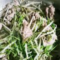 やわり's cooksnap of when they made 豆苗ともやしと豚バラのにんにく炒め.