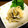 りんご0507's cooksnap of when they made 簡単☆冬☆大根おろし•まいたけ•ゆず和え.
