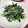 ぽぽぽっぽ☆'s cooksnap of when they made 茎ワカメのまろやか辛子マヨネーズ和え.