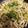 ぴょこたまる's cooksnap of when they made ＊鳥胸とじゃが豆苗炒め＊.