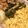 saku39717's cooksnap of when they made 鶏そぼろ三色丼.