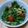 はらぺこさや's cooksnap of when they made 酒のアテに！節約！豆苗シャキシャキサラダ.