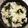 たまおちゃん's cooksnap of when they made 10分で簡単！〜わかめご飯〜お弁当にも◎.