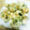 クックsugii's cooksnap of when they made 鶏ささみの青しそ衣天.