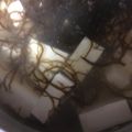 ちゃぎー's cooksnap of when they made いつもの豆腐ともずくの味噌汁.