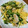 yucally's cooksnap of when they made 豆苗とササミのふんわり卵炒め.