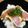 実悠徠ママ's cooksnap of when they made 「びん長マグロの漬け焼き」.