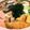 peteco's cooksnap of when they made 手軽に深いコクッ！即興の味噌ちゃんこ鍋.