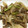 クックJ3N6JR☆'s cooksnap of when they made 豚肉とニンニクの芽の中華炒め.