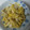 Mαru☆'s cooksnap of when they made 白菜の卵とじ.