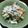 ecouteck's cooksnap of when they made ひじきと里芋の☆ネバ旨サラダ☆.