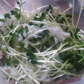 ふぁんたにゃん's cooksnap of when they made かいわれ大根のおひたし.