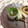ぽぽきゅ's cooksnap of when they made 簡単☆ちくわの梅シソ巻き.
