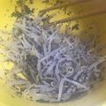 はるちゃんまん！！！'s cooksnap of when they made もやしのゆかり和え.