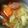 ＳＣＲＩＴ's cooksnap of when they made パスタスープ.