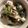 クックZ8J4H4☆'s cooksnap of when they made 豚小松菜のマヨぽん丼.