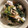 クックZ8J4H4☆'s cooksnap of when they made 豚小松菜のマヨぽん丼.