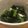 クックVKJINL☆'s cooksnap of when they made カーボロネロとツナの簡単スープ煮.