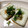 ハーマイオニー☆'s cooksnap of when they made 簡単おつまみ♪厚揚げチーズ.