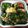 parami2011's cooksnap of when they made お弁当に♪簡単◇ブロッコリー明太マヨ炒め.