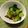 クックC18DJ9☆'s cooksnap of when they made チンゲン菜と干しエビオイスターソース炒め.