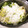 takatiho's cooksnap of when they made 【簡単】白菜と豚肉のミルフィーユみぞれ鍋.