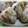 3匹の子ブタｍａｍａ's cooksnap of when they made おかかと海苔の焼きめし.