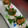 sakurenmam's cooksnap of when they made 簡単!ちくわのしそ巻き!(^^)!.