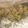 クックIH581Y☆'s cooksnap of when they made 鶏ごぼうのおこわ.