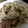 マーブルとラン's cooksnap of when they made 超簡単、もやし･えのき炒め.