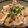 ChunChun☆≡'s cooksnap of when they made 再現！塩だれ吉野家風　ネギ塩ロース豚丼♡.