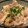 ChunChun☆≡'s cooksnap of when they made 再現！塩だれ吉野家風　ネギ塩ロース豚丼♡.