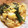 yue-xiaojie's cooksnap of when they made 簡単５分ゆり根とほうれん草の卵とじ.