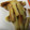 ＊＊＊Sae＊＊＊'s cooksnap of when they made 簡単揚げ焼き♪ちくわのさっくりカレー揚げ.