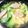 ３匹の大ぶたママ's cooksnap of when they made レタスとウインナーのたまごスープ.