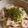 みうさんjp0318's cooksnap of when they made うちのたらマヨ蓮根.