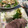 おぐにゃんこ's cooksnap of when they made ☺炊飯器で簡単低温調理♪しっとり牛ハム☺.