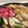 るなさくら's cooksnap of when they made すき焼きの割り下.