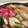 るなさくら's cooksnap of when they made すき焼きの割り下.