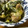 低カロ探検隊's cooksnap of when they made 葉玉ねぎの卵とじ.