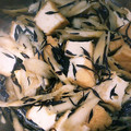 あいころべ's cooksnap of when they made 常備菜♪厚揚げひじきごぼうのきんぴら.