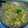 まじゅりん's cooksnap of when they made レタス＆卵のふんわり、さっぱり炒め.