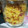 クック5HJJUA☆'s cooksnap of when they made 自家製☆黄色のゆずこしょう.