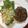シェフー's cooksnap of when they made 合挽き肉withしいたけ&もやしバーグ.