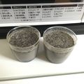 22歳新米ママ's cooksnap of when they made 黒ごまプリン.